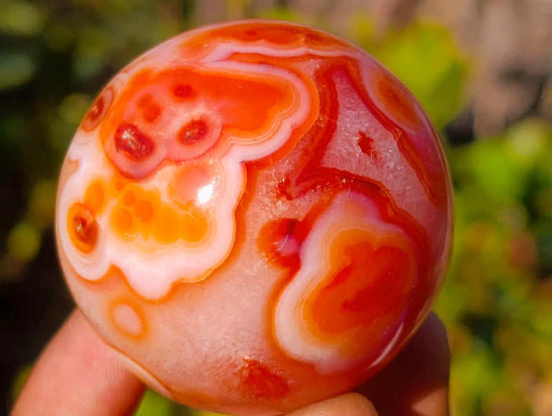 Polished Small Carnelian Agate Gemstone Spheres x 12 From Madagascar - Toprock Gemstones and Minerals 