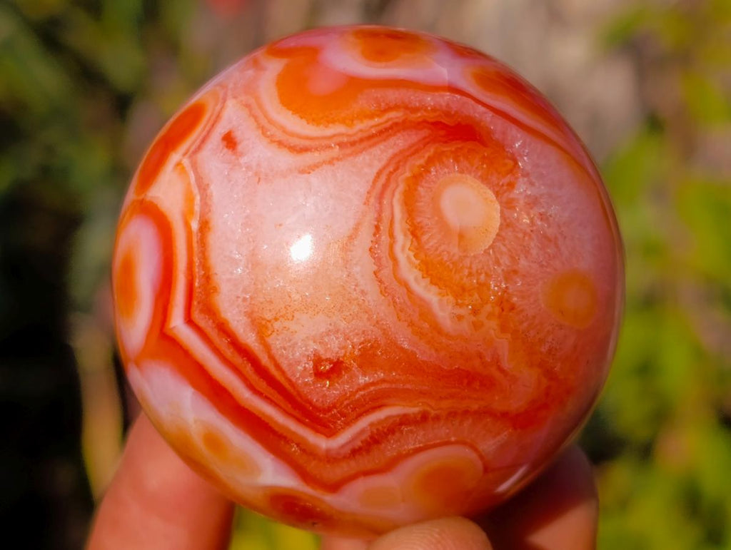 Polished Small Carnelian Agate Gemstone Spheres x 12 From Madagascar - Toprock Gemstones and Minerals 