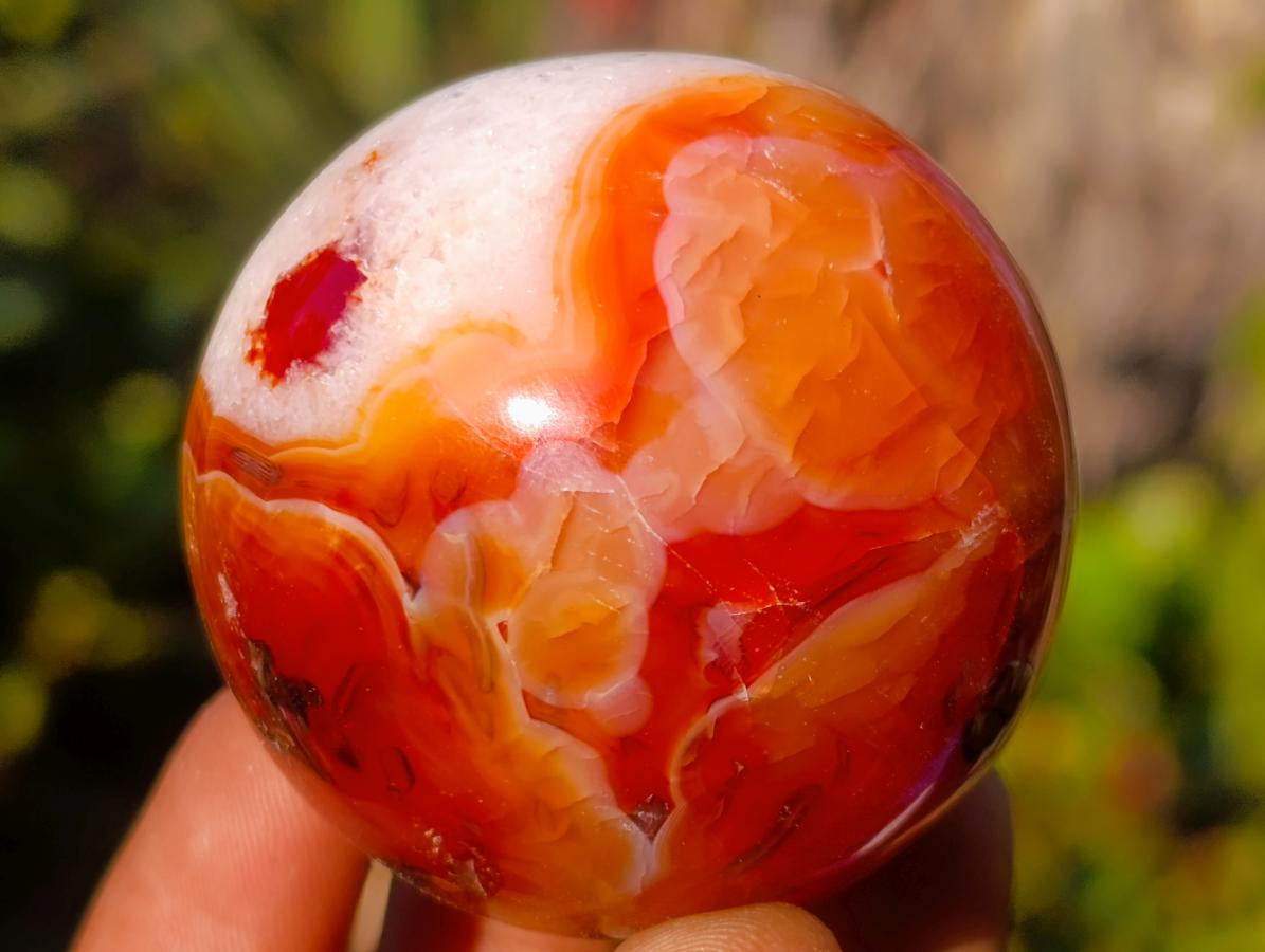 Polished Small Carnelian Agate Gemstone Spheres x 12 From Madagascar - Toprock Gemstones and Minerals 