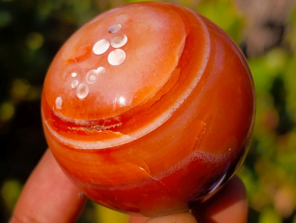 Polished Small Carnelian Agate Gemstone Spheres x 12 From Madagascar - Toprock Gemstones and Minerals 