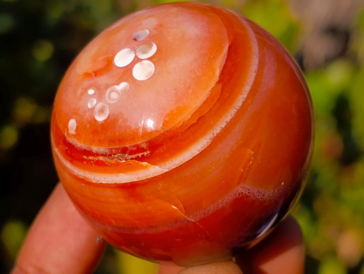 Polished Small Carnelian Agate Gemstone Spheres x 12 From Madagascar - Toprock Gemstones and Minerals 