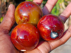 Polished Small Carnelian Agate Gemstone Spheres x 12 From Madagascar - Toprock Gemstones and Minerals 