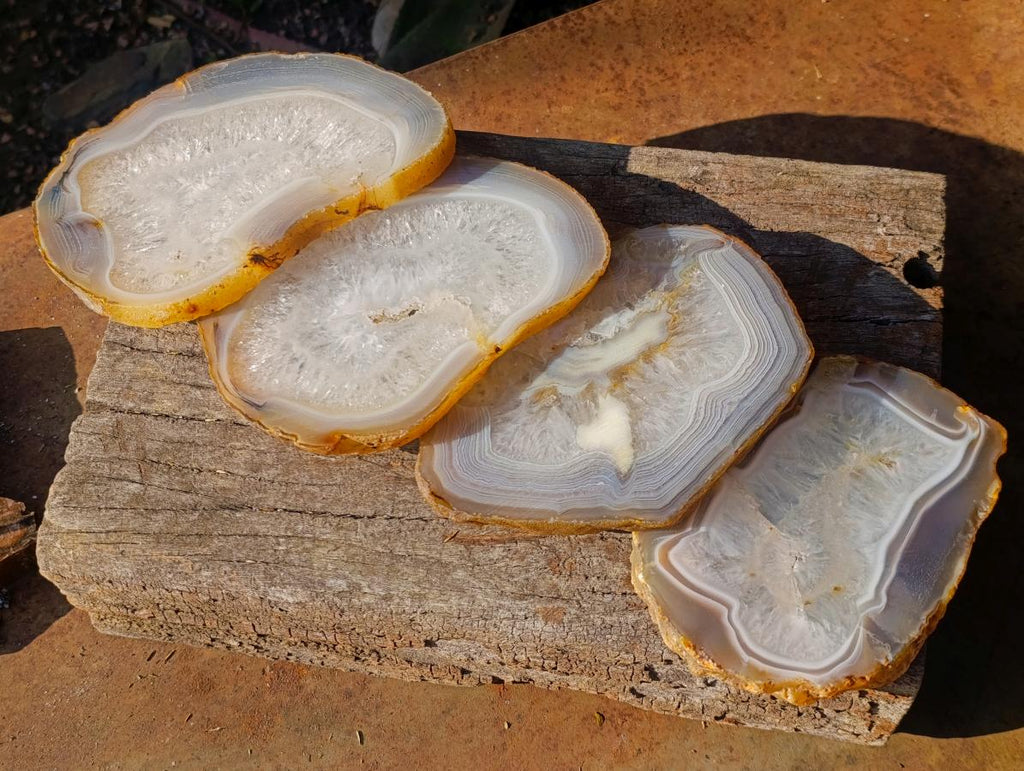 Polished XL Banded Agate Slices x 4 From Madagascar - Toprock Gemstones and Minerals 
