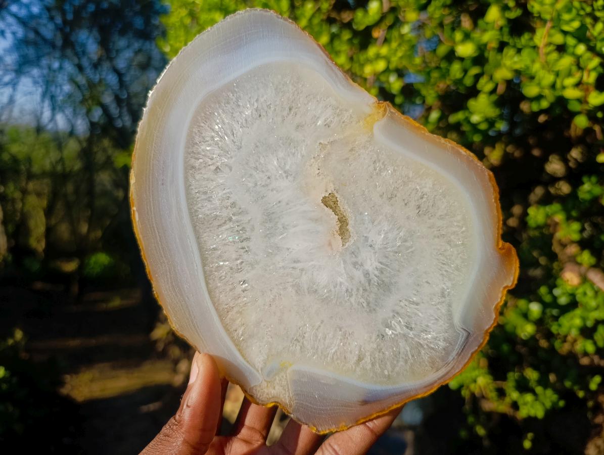 Polished XL Banded Agate Slices x 4 From Madagascar - Toprock Gemstones and Minerals 