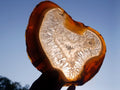 Polished XL Banded Agate Slices x 4 From Madagascar - Toprock Gemstones and Minerals 