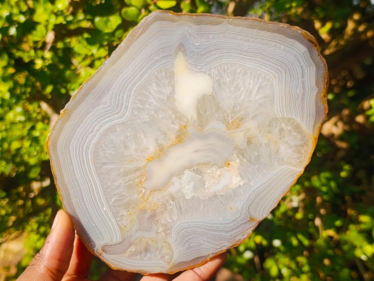 Polished XL Banded Agate Slices x 4 From Madagascar - Toprock Gemstones and Minerals 