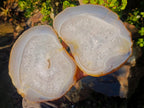 Polished XL Banded Agate Slices x 4 From Madagascar - Toprock Gemstones and Minerals 