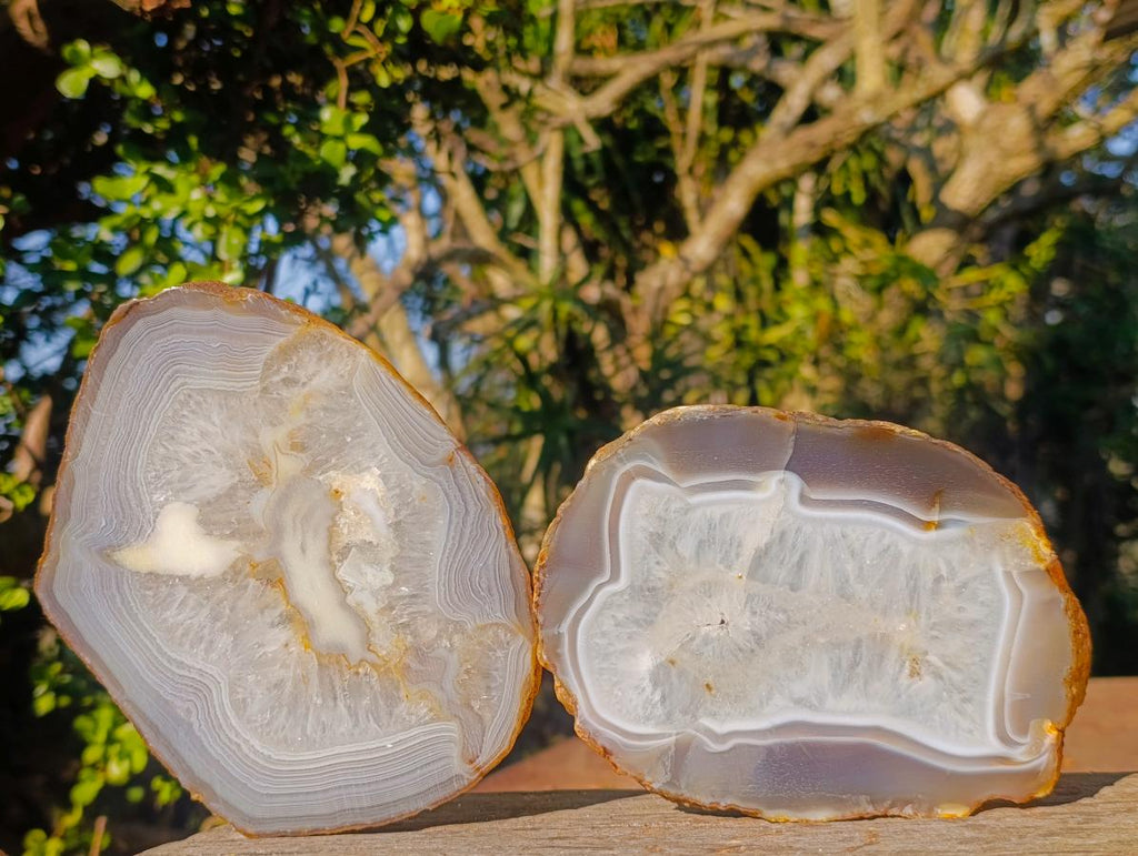 Polished XL Banded Agate Slices x 4 From Madagascar - Toprock Gemstones and Minerals 