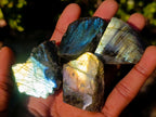 Polished on One Side Labradorite Slices x 70 From Madagascar - Toprock Gemstones and Minerals 