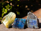 Polished on One Side Labradorite Slices x 70 From Madagascar - Toprock Gemstones and Minerals 