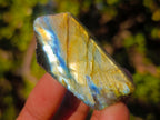 Polished on One Side Labradorite Slices x 70 From Madagascar - Toprock Gemstones and Minerals 