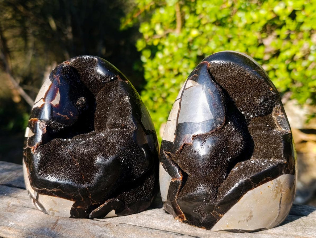 Polished Septerye Sauvage "Dragons Egg" Geode Standing Display Pieces x 2 From Mahajanga, Madagascar - Toprock Gemstones and Minerals 