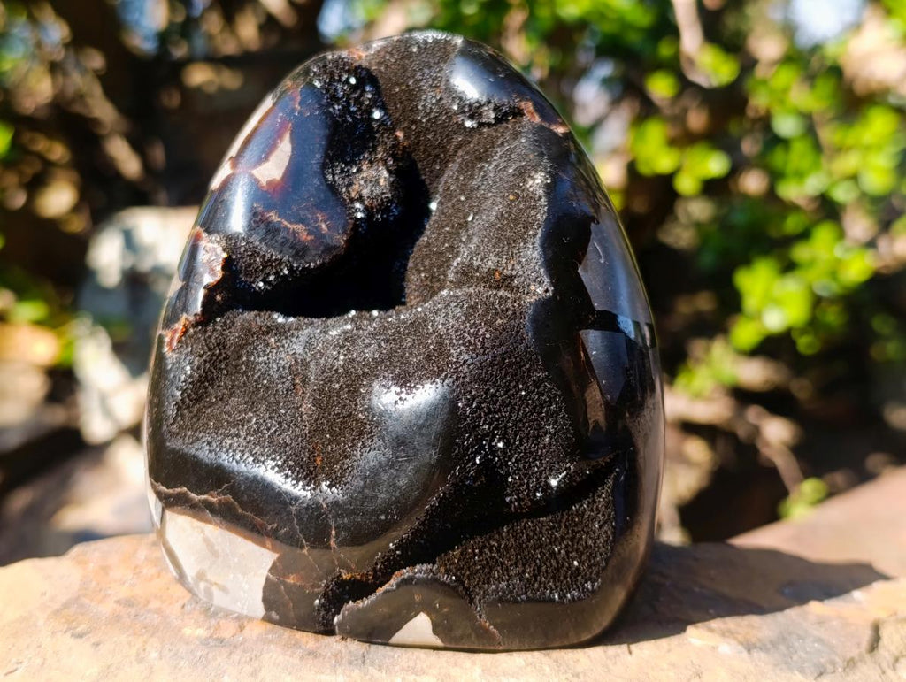 Polished Septerye Sauvage "Dragons Egg" Geode Standing Display Pieces x 2 From Mahajanga, Madagascar - Toprock Gemstones and Minerals 