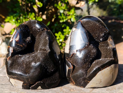 Polished Septerye Sauvage "Dragons Egg" Geode Standing Display Pieces x 2 From Mahajanga, Madagascar - Toprock Gemstones and Minerals 
