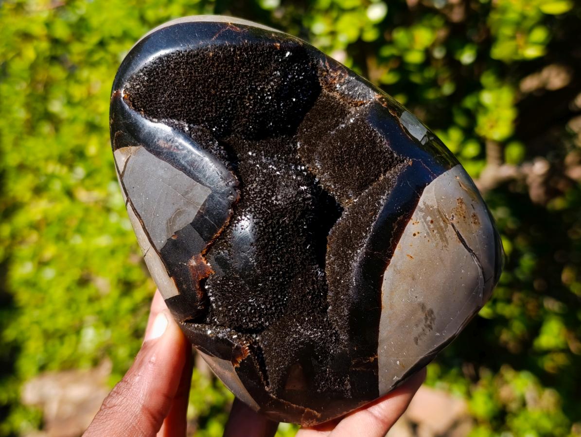 Polished Septerye Sauvage "Dragons Egg" Geode Standing Display Pieces x 2 From Mahajanga, Madagascar - Toprock Gemstones and Minerals 