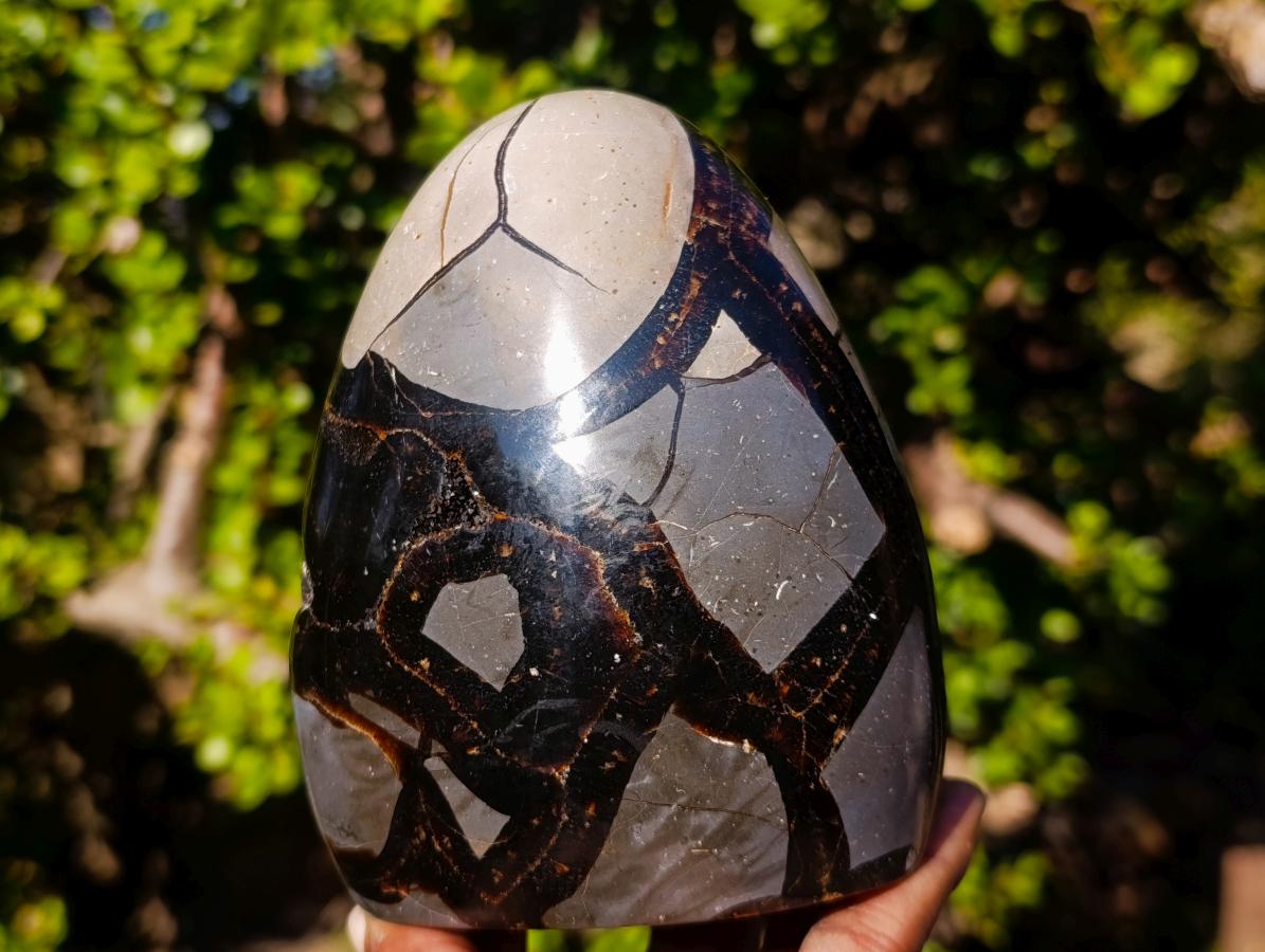 Polished Septerye Sauvage "Dragons Egg" Geode Standing Display Pieces x 2 From Mahajanga, Madagascar - Toprock Gemstones and Minerals 