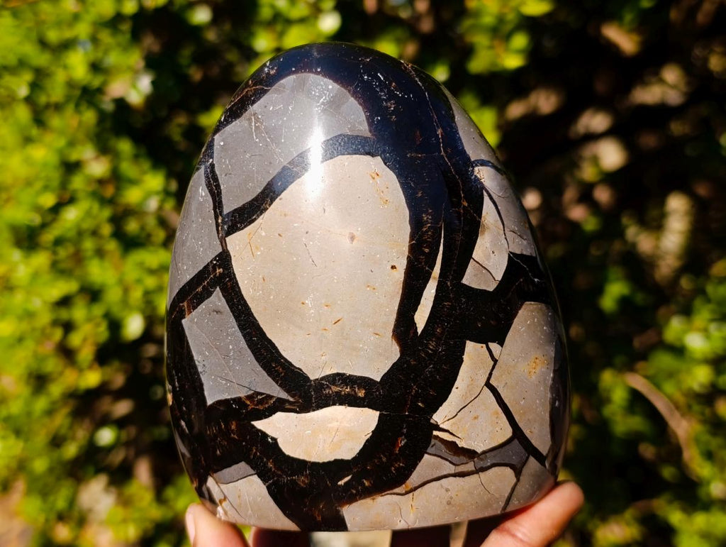 Polished Septerye Sauvage "Dragons Egg" Geode Standing Display Pieces x 2 From Mahajanga, Madagascar - Toprock Gemstones and Minerals 