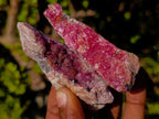 Natural Spherocobaltite Specimens x 12 From Musonoi Mine, Congo - Toprock Gemstones and Minerals 