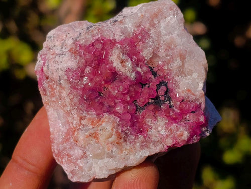 Natural Spherocobaltite Specimens x 12 From Musonoi Mine, Congo - Toprock Gemstones and Minerals 