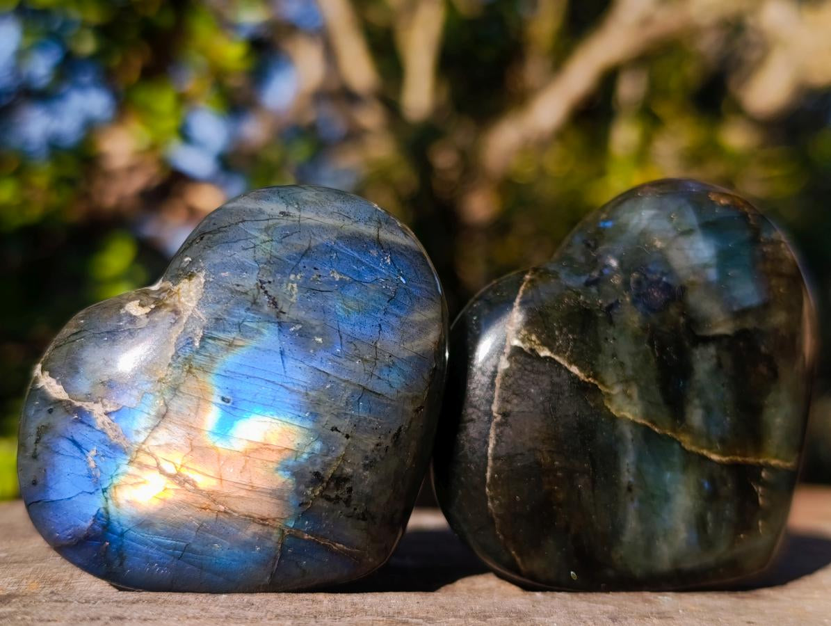 Polished Labradorite Hearts x 12 From Madagascar - Toprock Gemstones and Minerals 