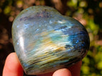 Polished Labradorite Hearts x 12 From Madagascar - Toprock Gemstones and Minerals 