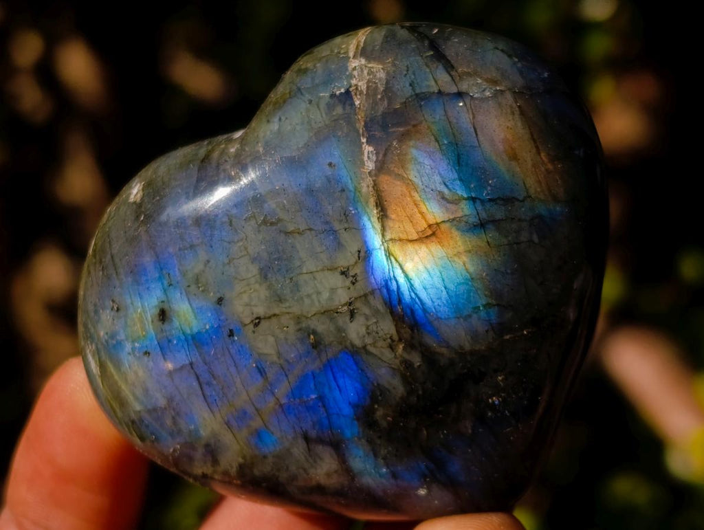 Polished Labradorite Hearts x 12 From Madagascar - Toprock Gemstones and Minerals 