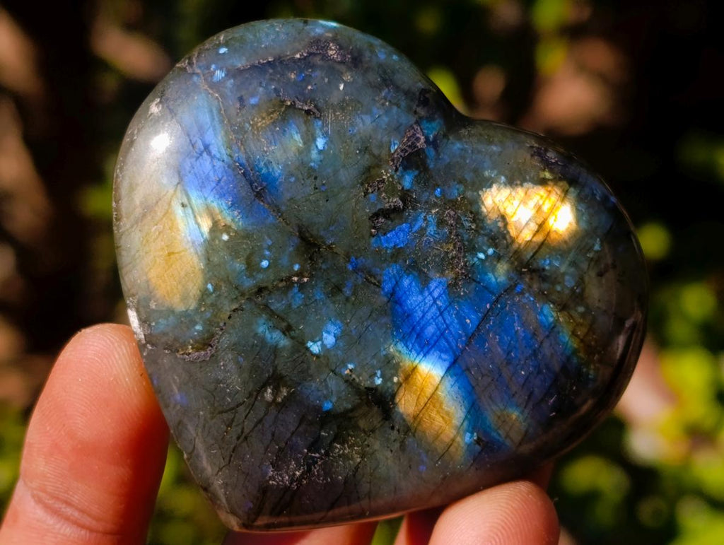 Polished Labradorite Hearts x 12 From Madagascar - Toprock Gemstones and Minerals 