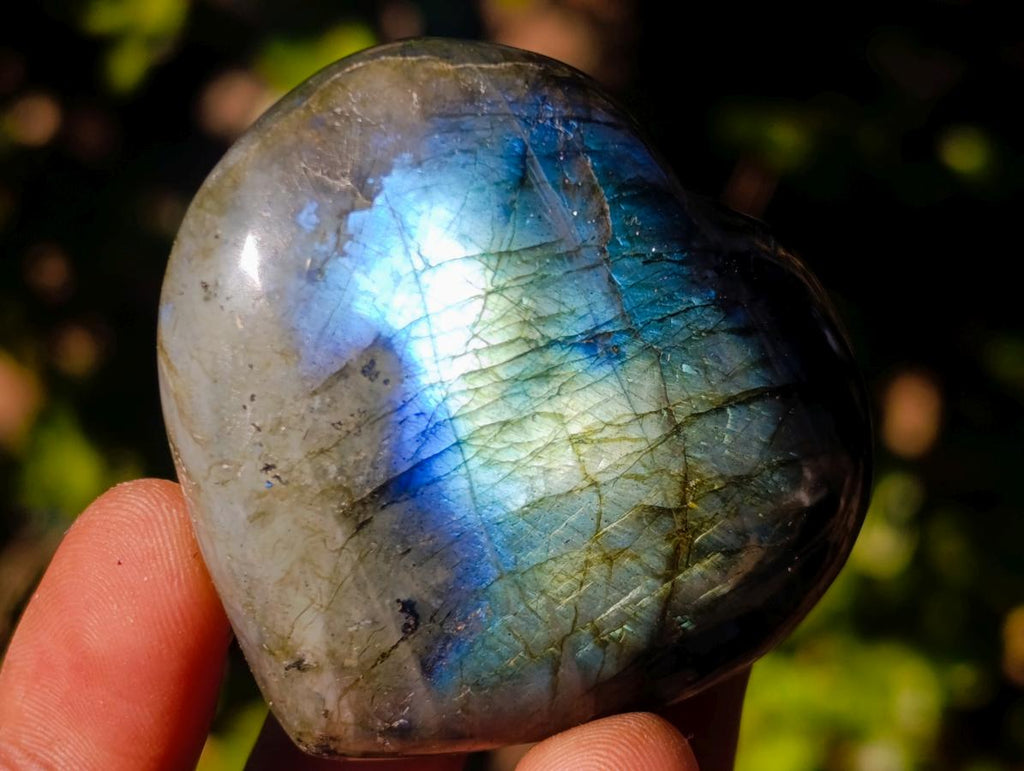 Polished Labradorite Hearts x 12 From Madagascar - Toprock Gemstones and Minerals 