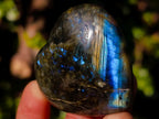 Polished Labradorite Hearts x 12 From Madagascar - Toprock Gemstones and Minerals 