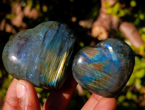 Polished Labradorite Hearts x 12 From Madagascar - Toprock Gemstones and Minerals 