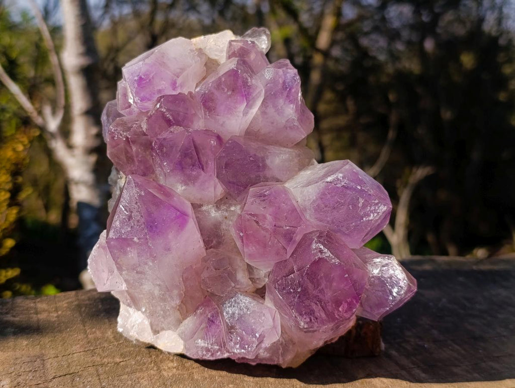 Natural Large Jacaranda Amethyst Crystal Clusters x 2 From Mumbwa, Zambia - Toprock Gemstones and Minerals 
