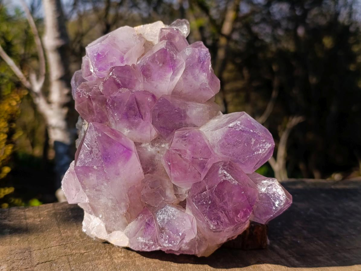 Natural Large Jacaranda Amethyst Crystal Clusters x 2 From Mumbwa, Zambia - Toprock Gemstones and Minerals 