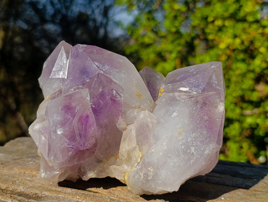 Natural Large Jacaranda Amethyst Crystal Clusters x 2 From Mumbwa, Zambia - Toprock Gemstones and Minerals 