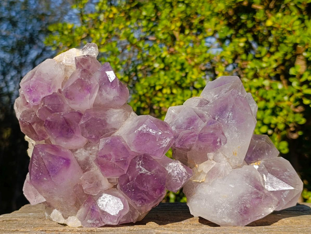 Natural Large Jacaranda Amethyst Crystal Clusters x 2 From Mumbwa, Zambia - Toprock Gemstones and Minerals 