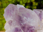 Natural Large Jacaranda Amethyst Crystal Clusters x 2 From Mumbwa, Zambia - Toprock Gemstones and Minerals 