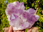 Natural Large Jacaranda Amethyst Crystal Clusters x 2 From Mumbwa, Zambia - Toprock Gemstones and Minerals 
