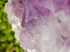 Natural Large Jacaranda Amethyst Crystal Clusters x 2 From Mumbwa, Zambia - Toprock Gemstones and Minerals 