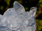 Natural Blue Celestite Specimens x 3 From Sakoany, Madagascar - Toprock Gemstones and Minerals 