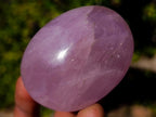 Polished Gemmy Rose Quartz Palm Stones x 12 From Madagascar - Toprock Gemstones and Minerals 