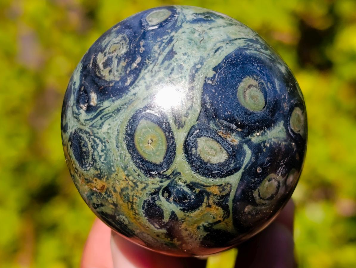 Polished Stromatolite "Kambaba Jasper" Mushrooms x 12 From Katsepy, Madagascar - Toprock Gemstones and Minerals 