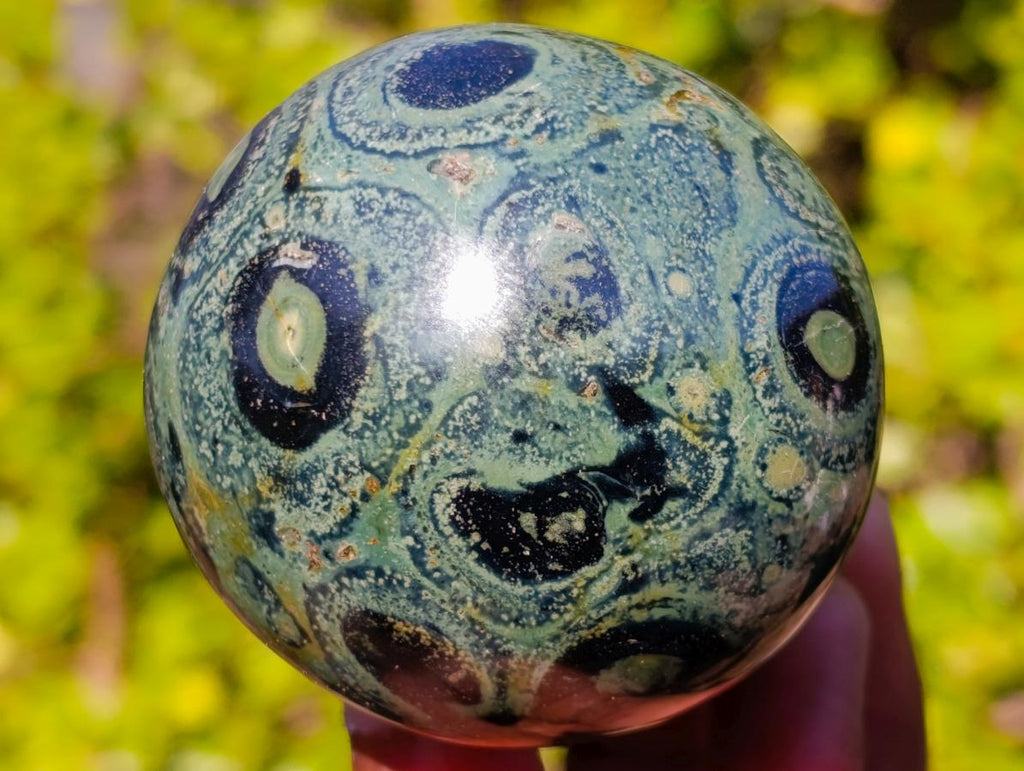 Polished Stromatolite "Kambaba Jasper" Mushrooms x 12 From Katsepy, Madagascar - Toprock Gemstones and Minerals 