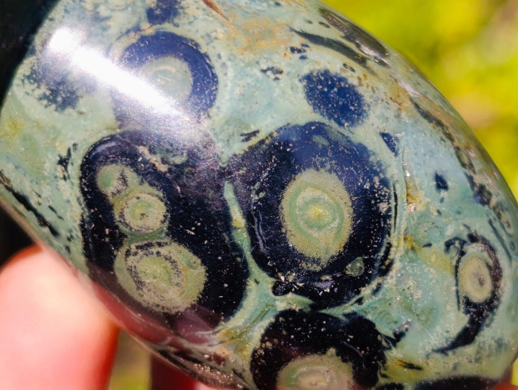 Polished Stromatolite "Kambaba Jasper" Mushrooms x 12 From Katsepy, Madagascar - Toprock Gemstones and Minerals 