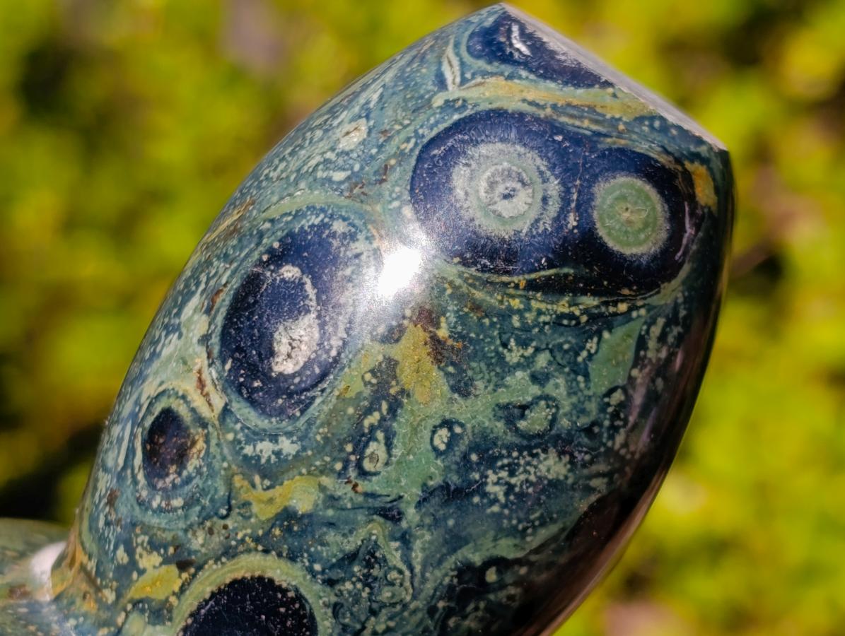 Polished Stromatolite "Kambaba Jasper" Mushrooms x 12 From Katsepy, Madagascar - Toprock Gemstones and Minerals 
