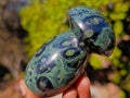 Polished Stromatolite "Kambaba Jasper" Mushrooms x 12 From Katsepy, Madagascar - Toprock Gemstones and Minerals 