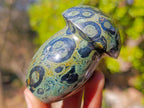 Polished Stromatolite "Kambaba Jasper" Mushrooms x 12 From Katsepy, Madagascar - Toprock Gemstones and Minerals 