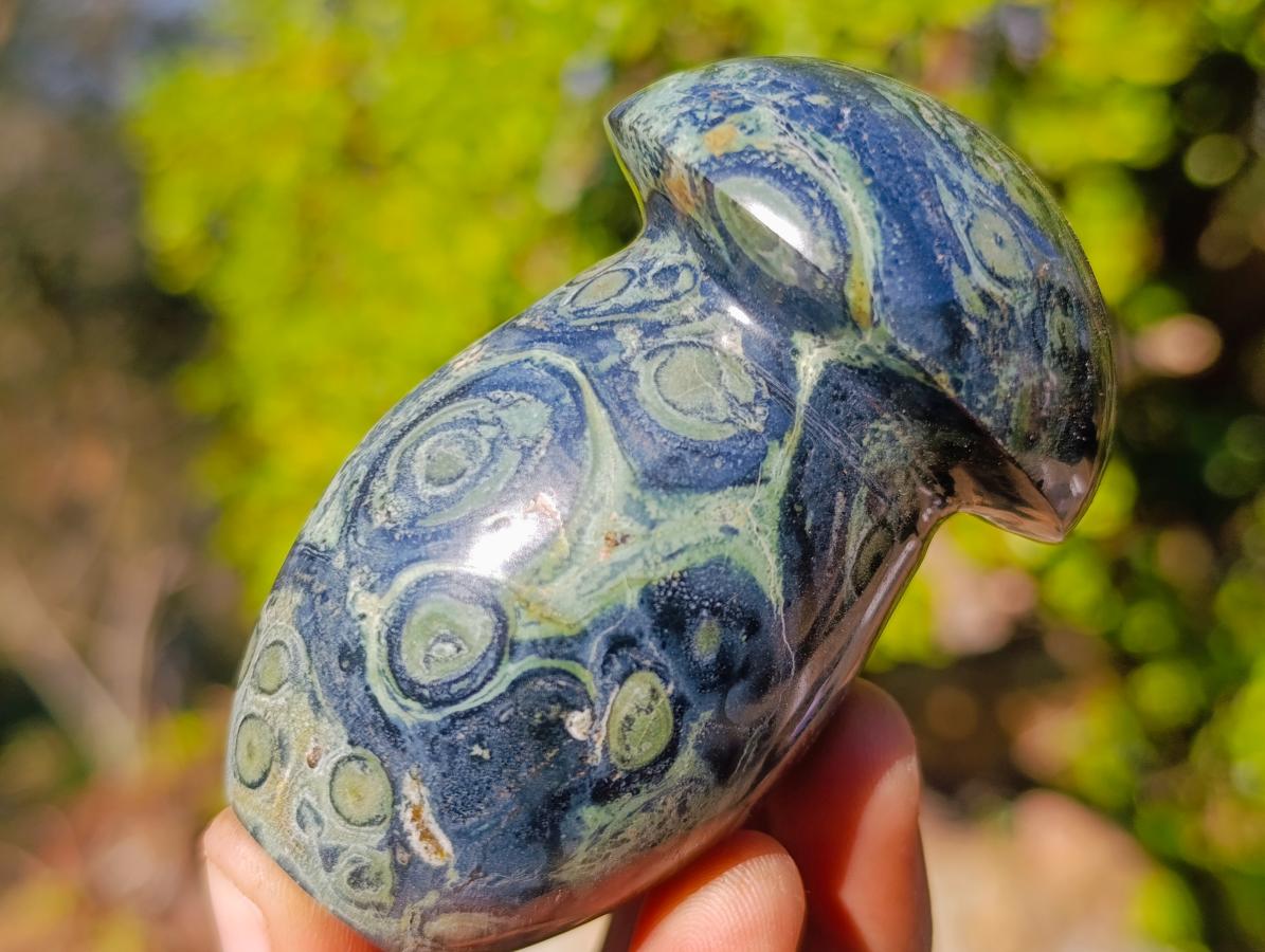 Polished Stromatolite "Kambaba Jasper" Mushrooms x 12 From Katsepy, Madagascar - Toprock Gemstones and Minerals 