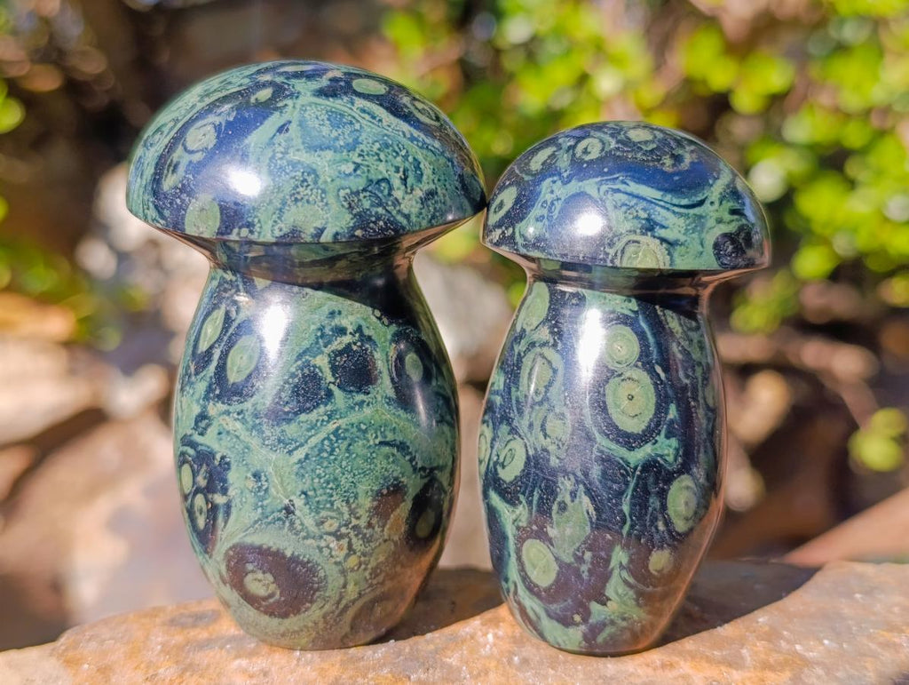Polished Stromatolite "Kambaba Jasper" Mushrooms x 12 From Katsepy, Madagascar - Toprock Gemstones and Minerals 