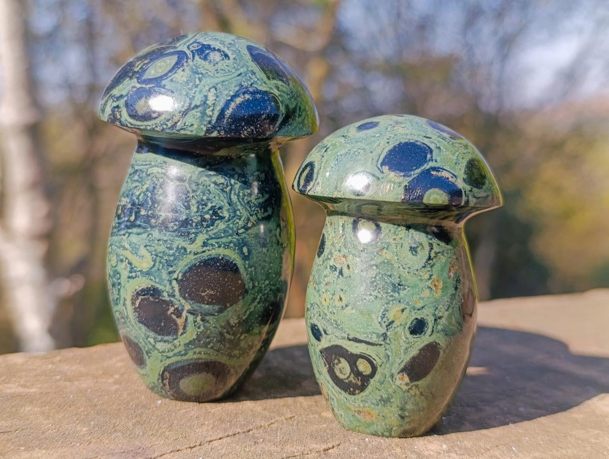 Polished Stromatolite "Kambaba Jasper" Mushrooms x 12 From Katsepy, Madagascar - Toprock Gemstones and Minerals 