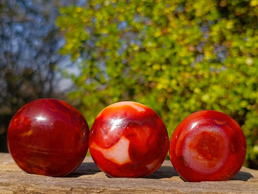 Polished Carnelian Agate Gemstone Galets x 24 From Madagascar - Toprock Gemstones and Minerals 