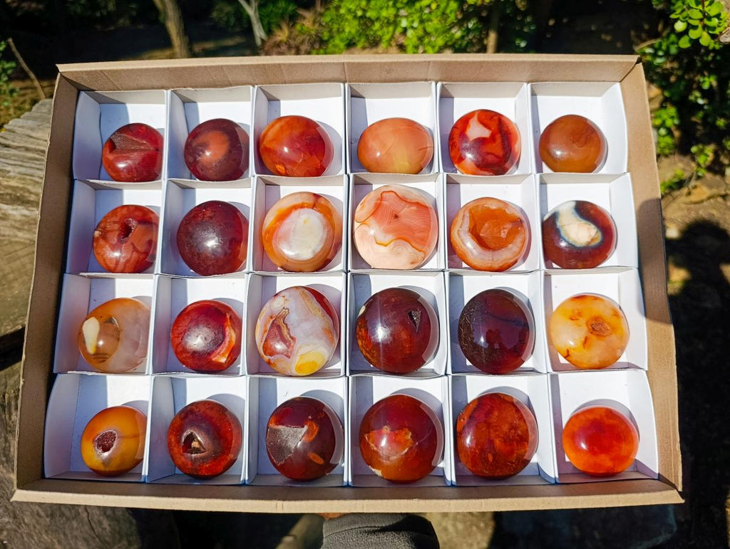 Polished Carnelian Agate Gemstone Galets x 24 From Madagascar - Toprock Gemstones and Minerals 